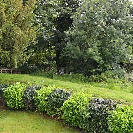 Elm Court 7